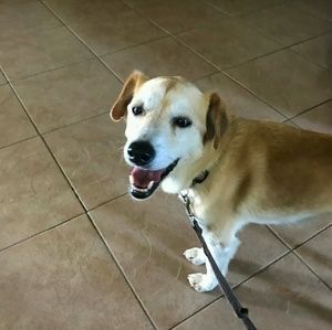 Meet your Posher, Angie